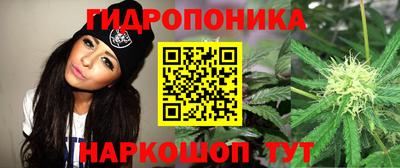 a pvp Баксан