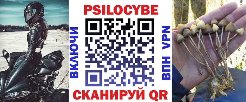 МЕГА онион  Буйнакск  Псилоцибиновые грибы Psilocybe 